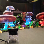 AIA Hong Kong | Singapore