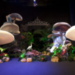 AIA Hong Kong | Singapore