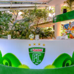 Castrol – Rio in Asia