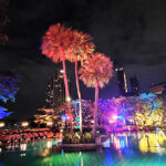 HSF Conference 2023 & 2025