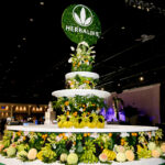 Herbalife APAC Qualifiers’ Party | Bangkok